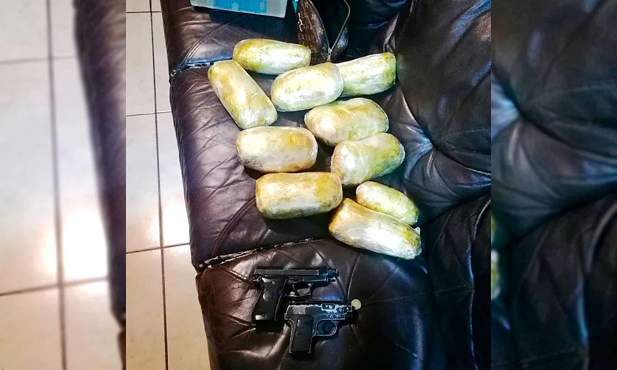El detenido, las armas y las semillas, quedaron a disposición del agente del Ministerio Público de la Fiscalía General de la República
