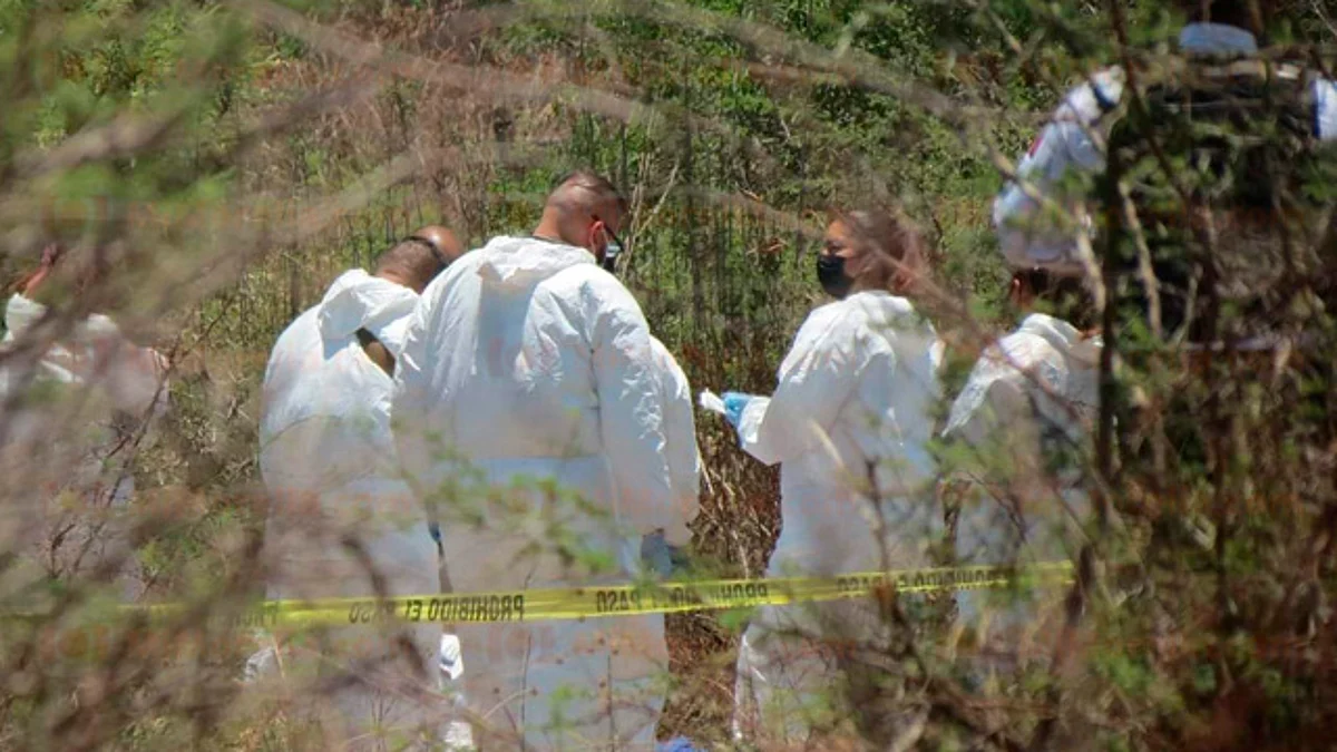 Hallan 6 cuerpos en fosas clandestinas de Zitácuaro; FGE ya investiga