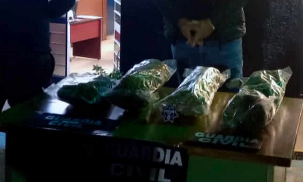 Morelia: pasajero de autobús viajaba con más de 3.5 kilos de marihuana; es detenido