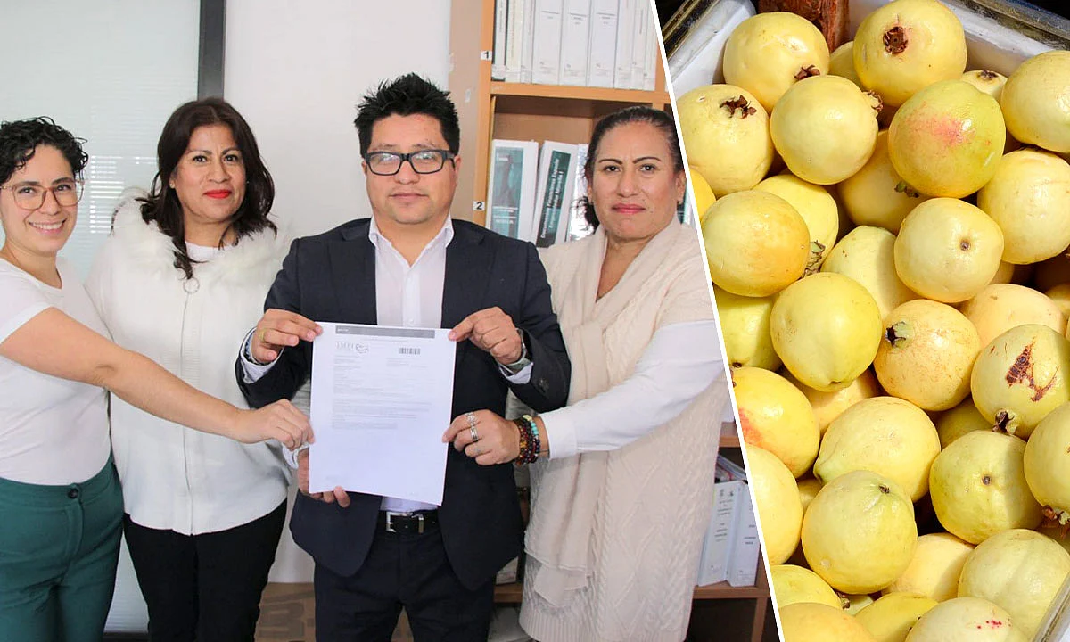 Se espera obtener el título de propiedad correspondiente antes de concluir el primer semestre del año