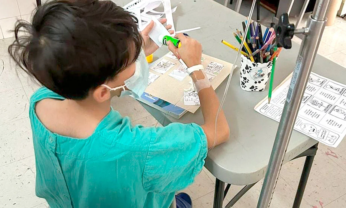 La finalidad es garantizar la educación a los niños en situación de enfermedad y que no pueden asistir a la escuela de manera regular
