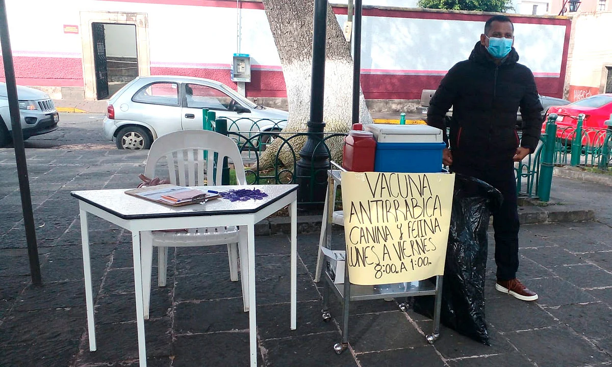La vacuna es gratuita y solo es necesario llevar al canino o felino aseado