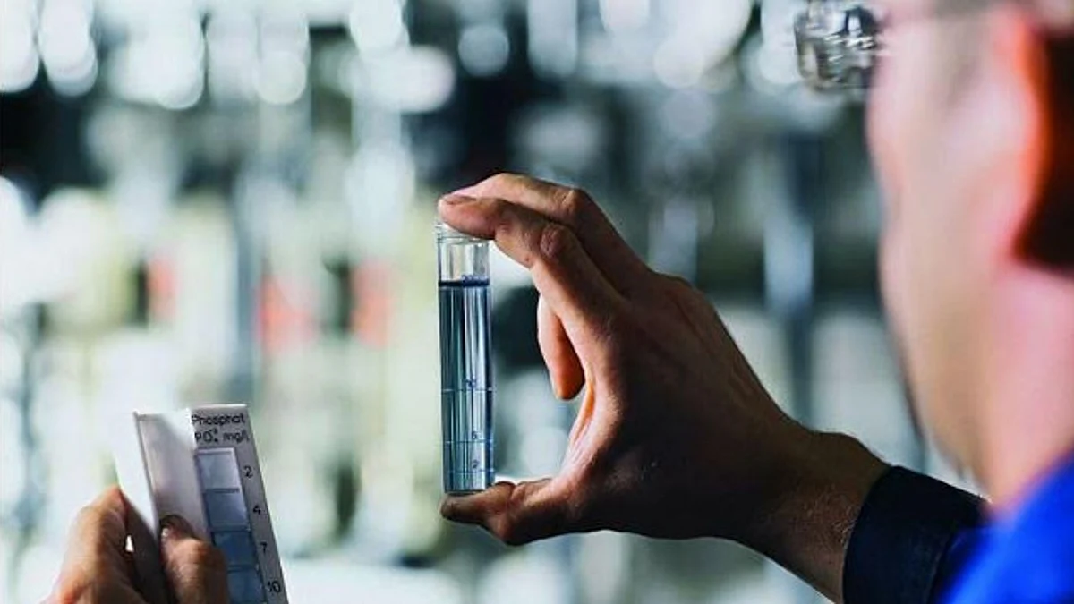 Ofrece UMSNH vacantes para doctorados y post-doctorados en sociedad alemana Max Planck