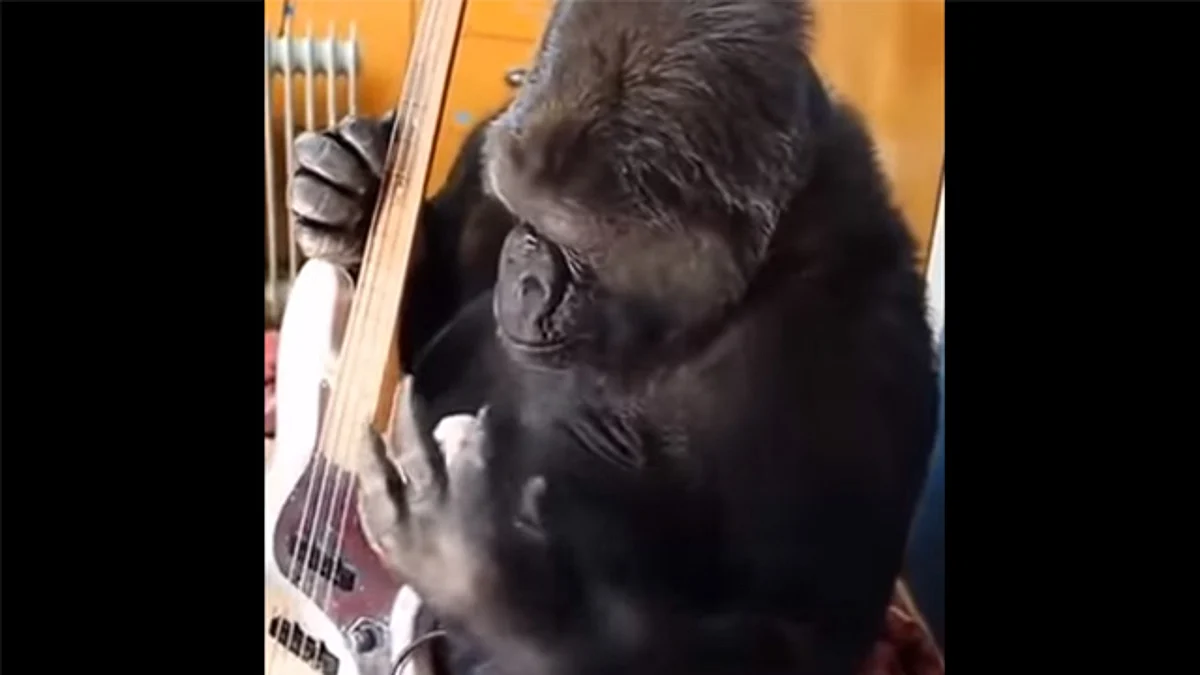 El músico invitó a sus seguidores a apoyar a esta especie de animales (Foto: YouTube)