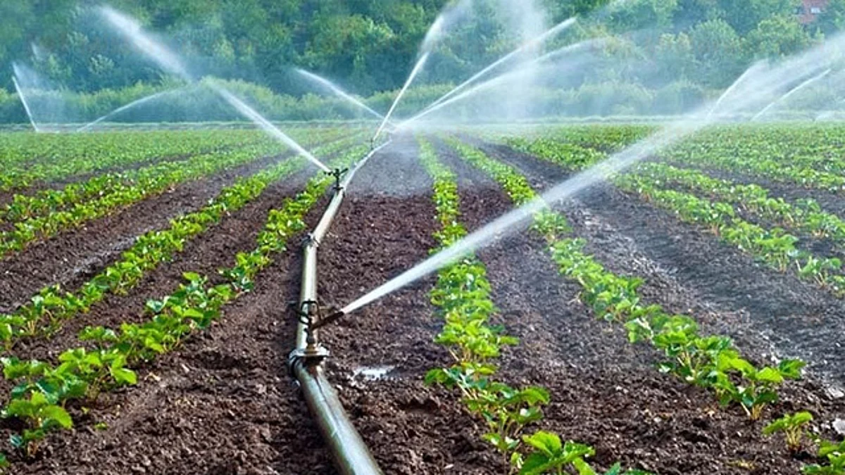 Alrededor de 25 municipios de Michoacán con carencia de agua: Sedrua