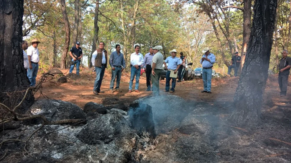Unidad de todos, para frenar incendios y cambios de uso de suelo: Sedrua