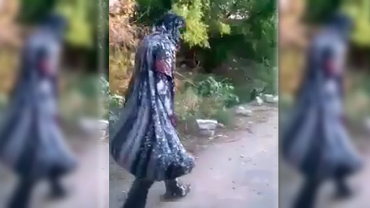 Video: Indignante; apedrean, “bañan en pintura” y humillan a indigente en Guanajuato