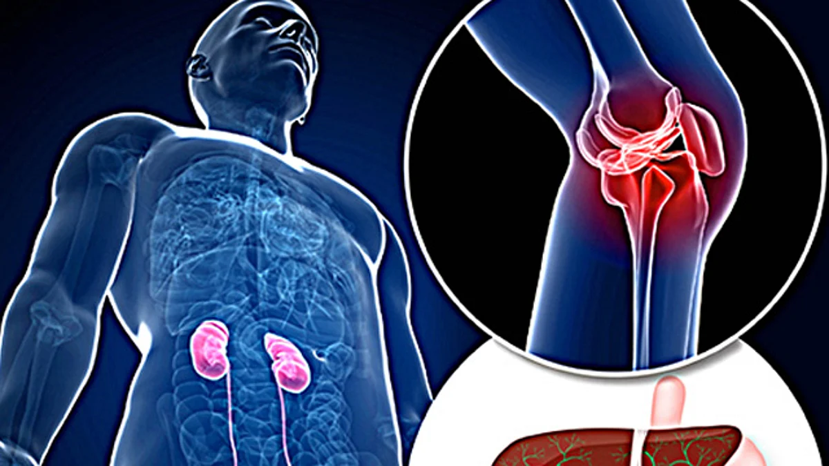 Crean científicos de la UNAM bioprótesis para regenerar tejidos afectados por traumatismos