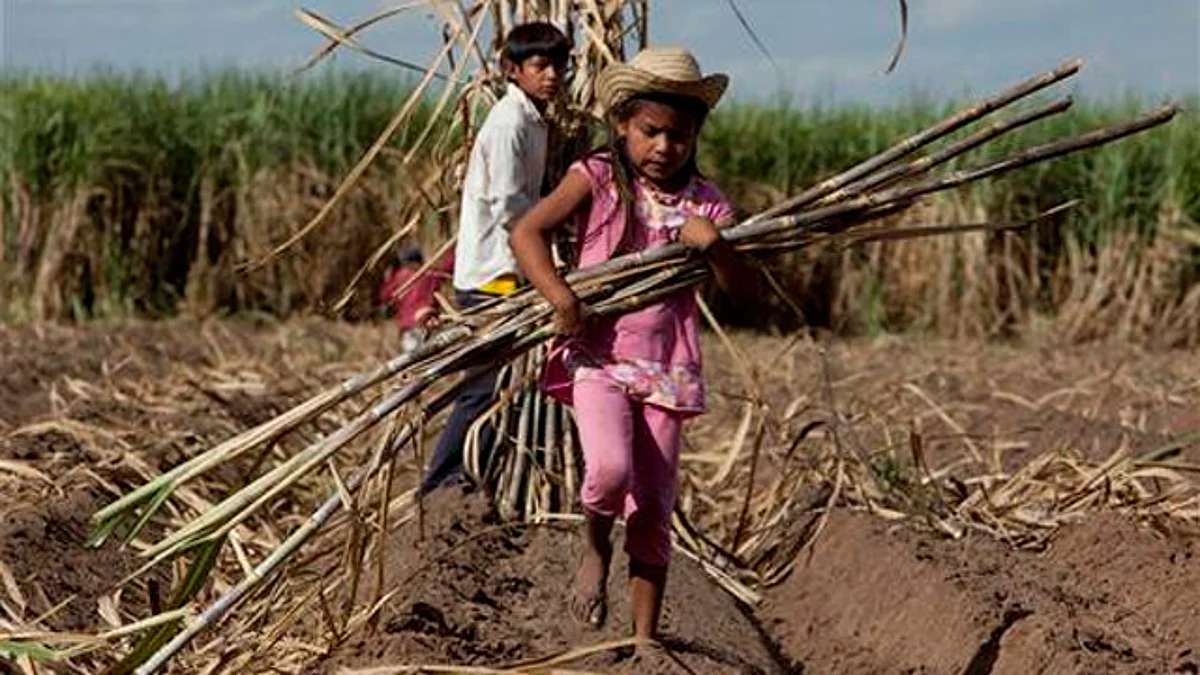 En México hay 2.5 millones niños y adolescentes trabajadores: Inegi