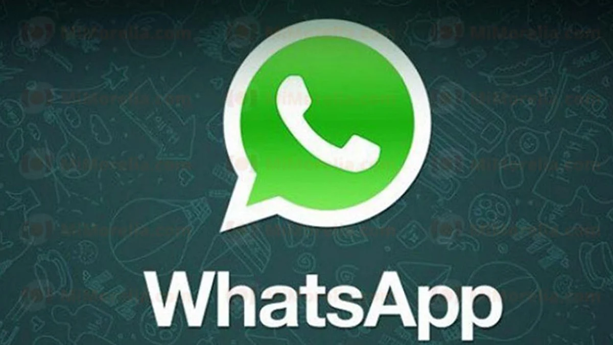 WhatsApp podría soportar GIFs próximamente