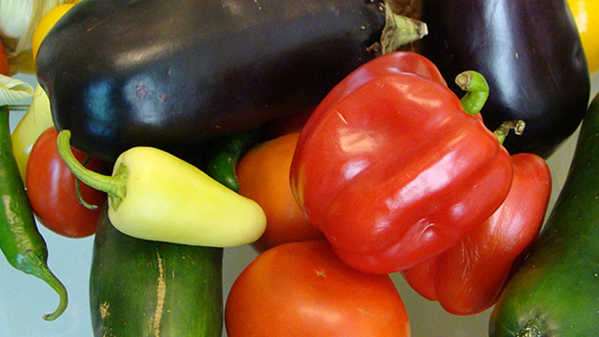 Cómo prevenir el cólera con medidas de higiene y consumo adecuado de alimentos