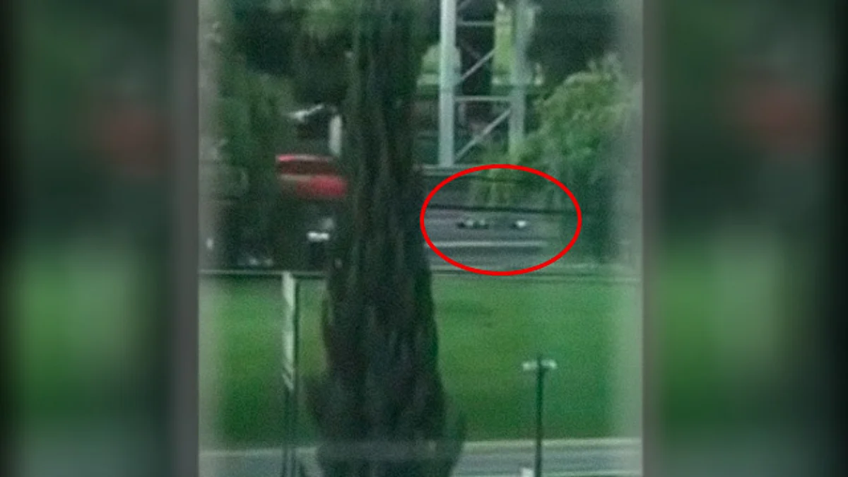Video: Fuertes imágenes, mujer se arroja de puente peatonal y se salva de milagro