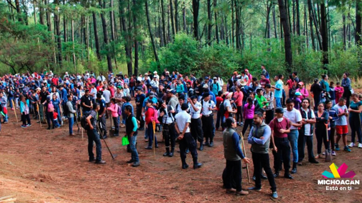 Anuncia Cofom actividades con motivo del Mes del Bosque