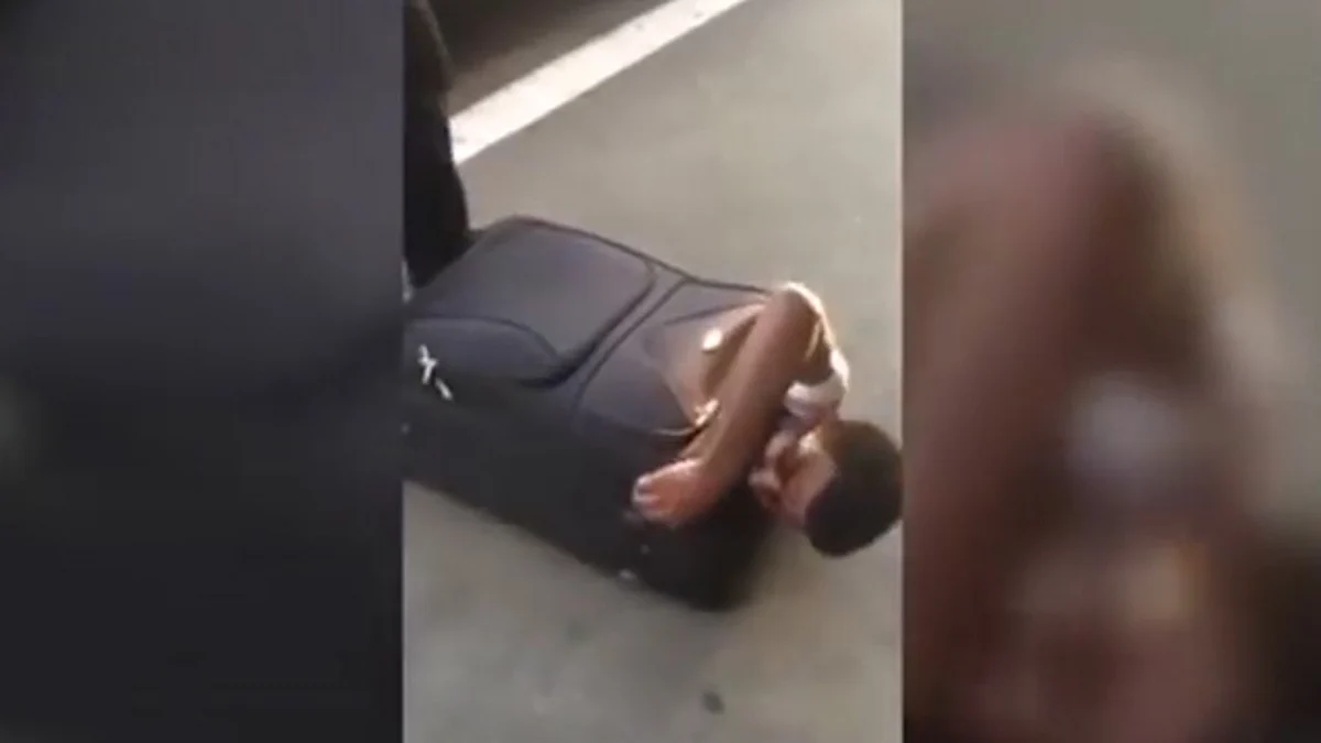 Video: Refugiado viaja en maleta y logra llegar a Europa