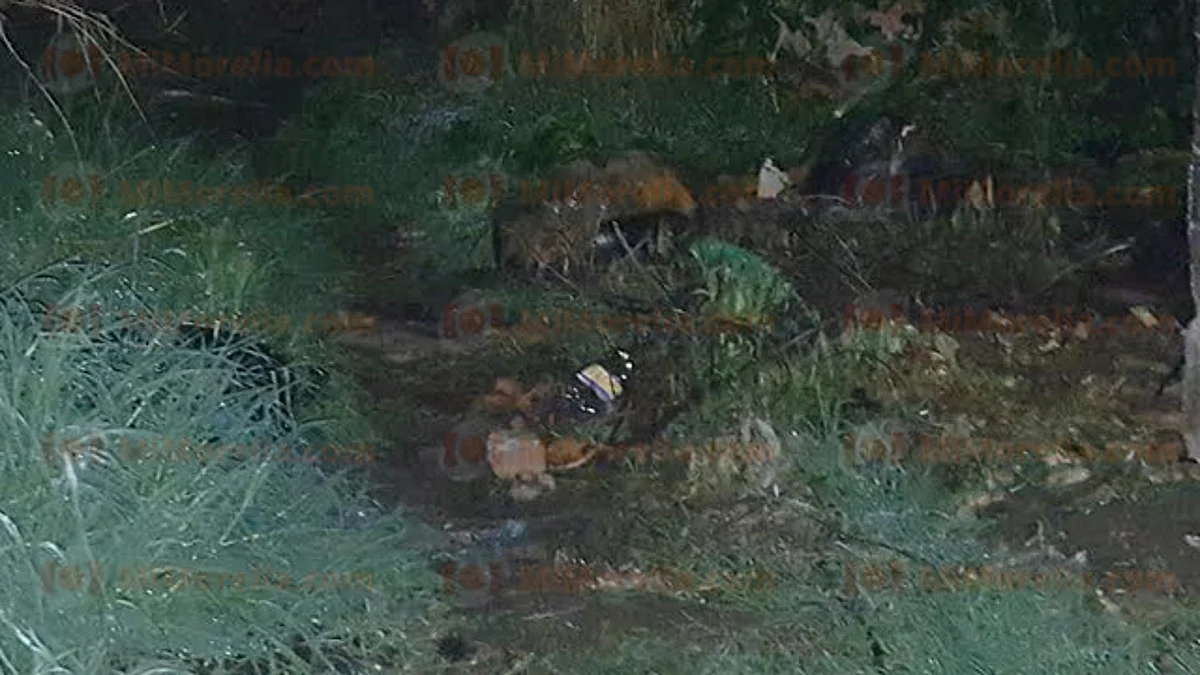 Localizan torso humano en la colonia Linda Vista de Zamora