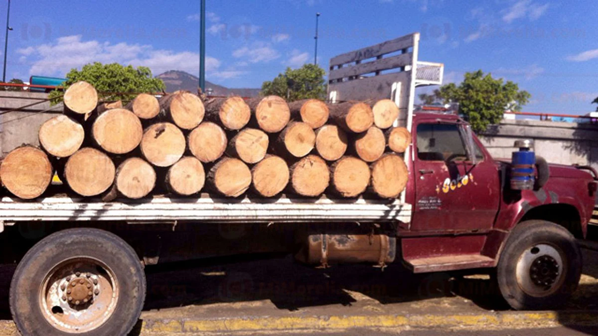 Asegura PGJE dos unidades con madera; hay cuatro detenidos