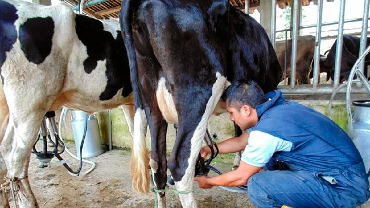 Michoacán produce más de 121 millones litros de leche: Sedrua