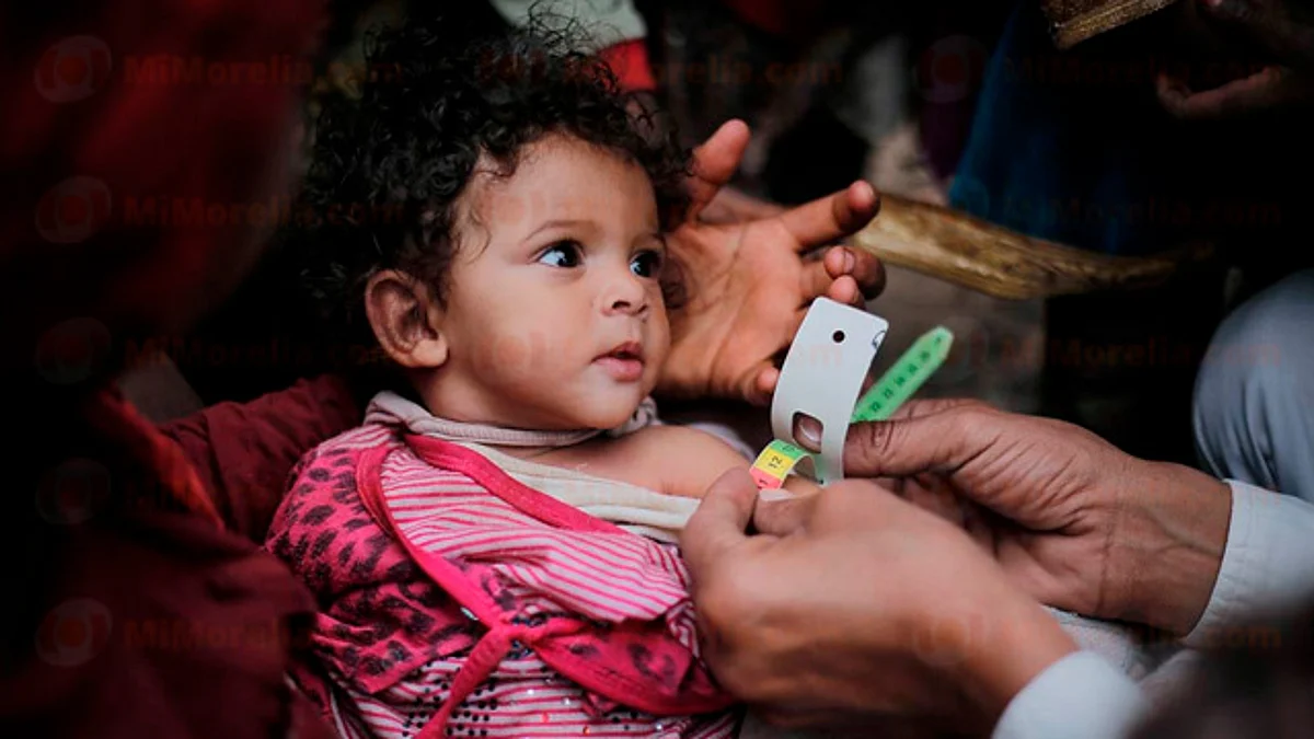 Hasta 20 millones personas podrían morir de hambre en los próximos seis meses: FAO