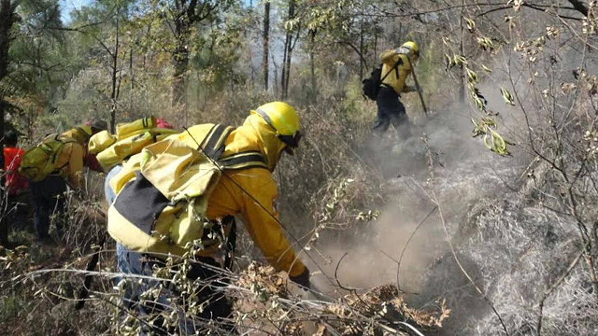 La temporada más fuerte de incendios forestales se espera para finales de abril y hasta mediados del mes de junio (Foto de Archivo)