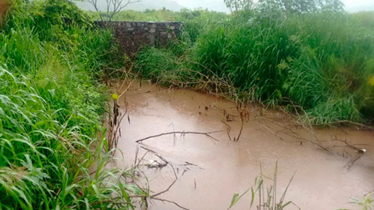 Lluvias en Michoacán han afectado más de 19 mil hectáreas agrícolas