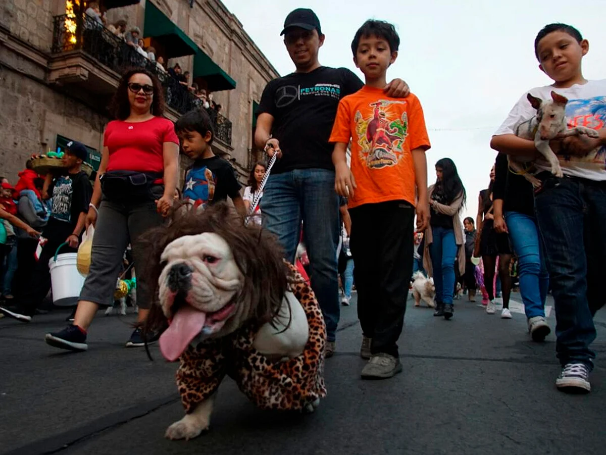 Galería: Con alegría se lleva a cabo el Desfile de Mascotas en Morelia