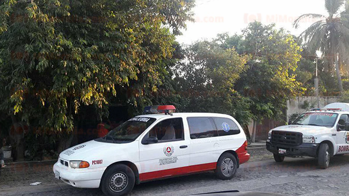 Fuentes policiacas dijeron que algún bromista tumbó un panal de las abejas
(Foto: RED 113)