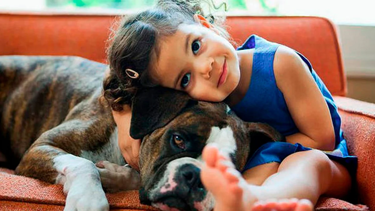 Tener un perro podría reducir los síntomas de asma en menores