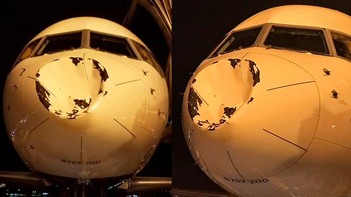 Video: Choca avión con jugadores de la NBA