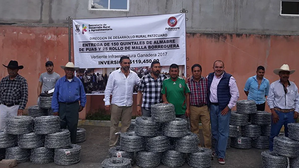Impulsan Sedrua y ayuntamiento 42 proyectos agropecuarios en Pátzcuaro