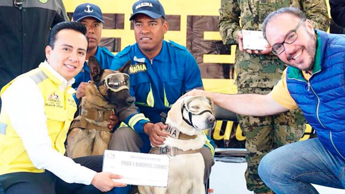 Colocan la primera piedra de la clínica veterinaria “Frida”