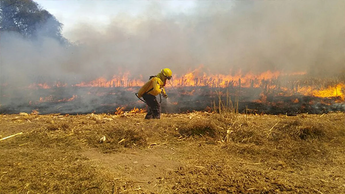 Reporta CNF en Michoacán 292 incendios en primeros meses del año