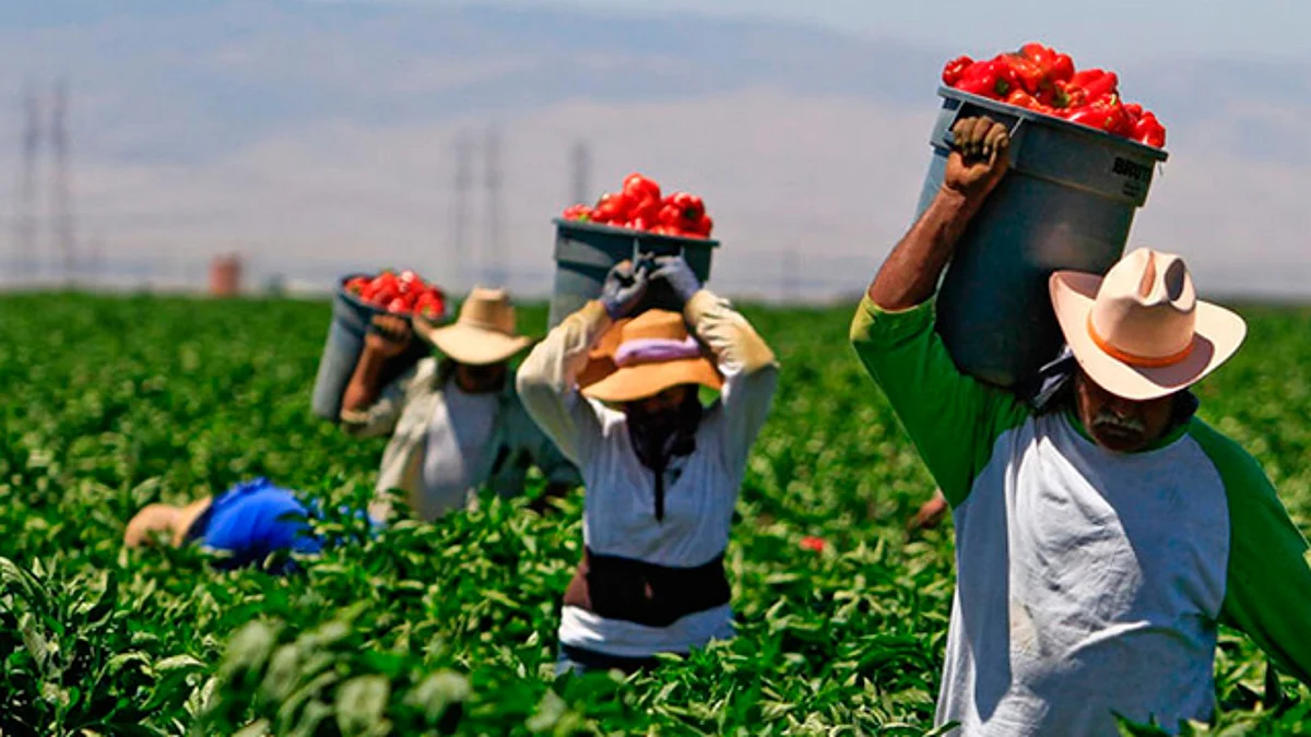 Baja California Sur y Puebla, los estados con más crecimiento: INEGI