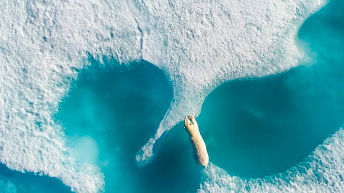 Conoce las mejores fotografías tomadas por un dron en 2017