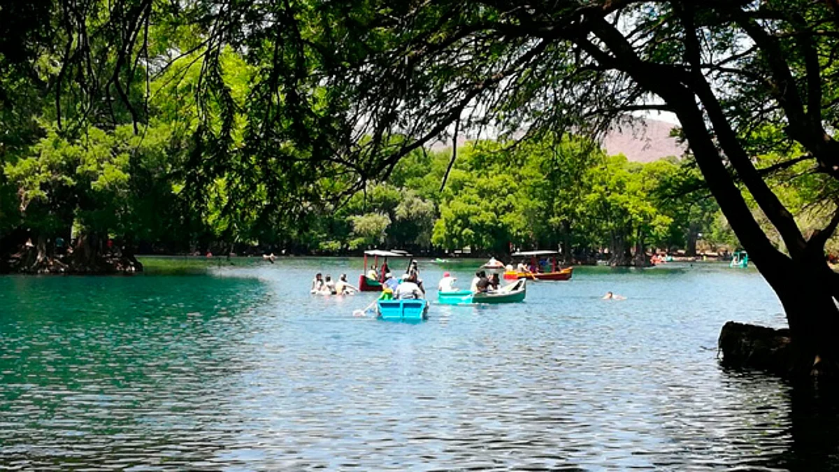 Pide Ernesto Núñez investigar daño ambiental al Lago de Camécuaro