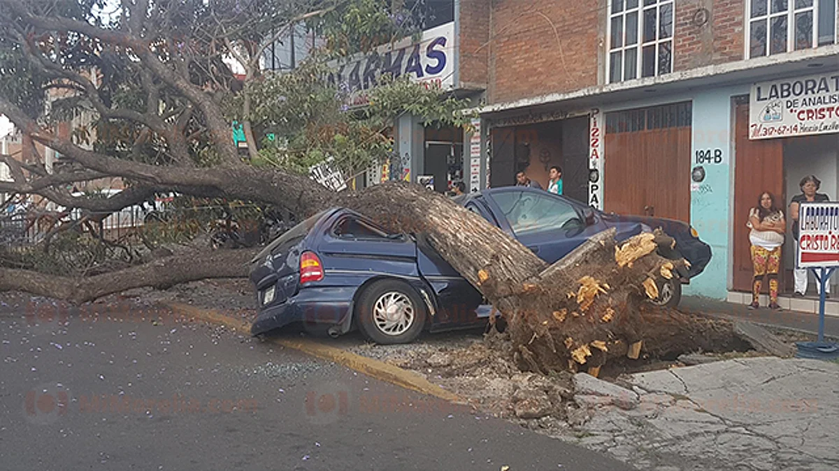 Se cae árbol sobre vehículo y bloquea toda una avenida, en Morelia