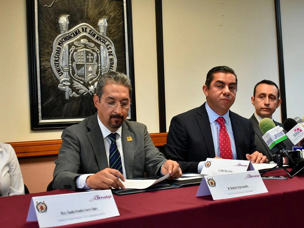 Reforzarán profesionalización de mecanismos acceso a la información