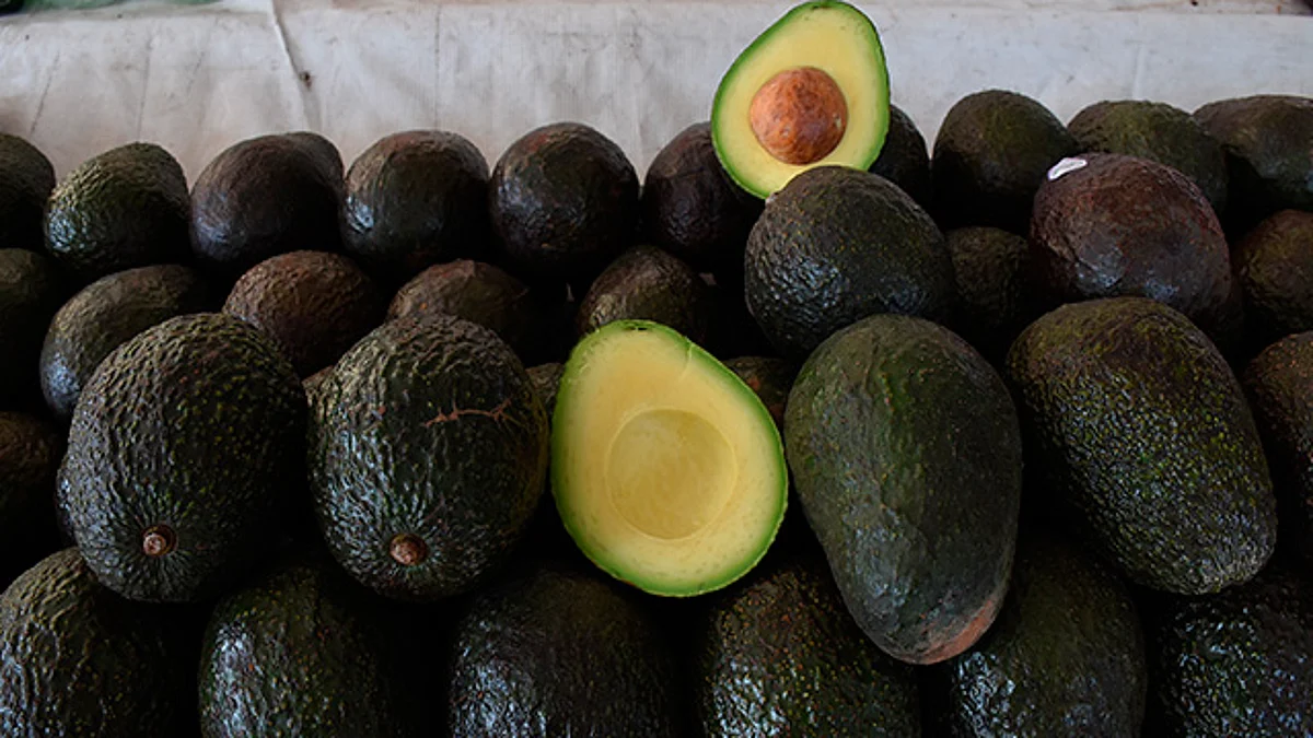 Este año la producción de aguacates superará las dos millones de toneladas