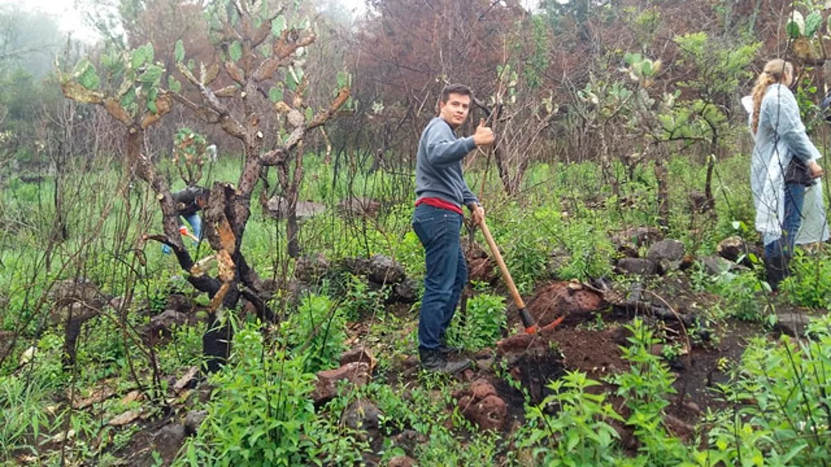 Se suman alumnos del ITM a acciones de reforestación