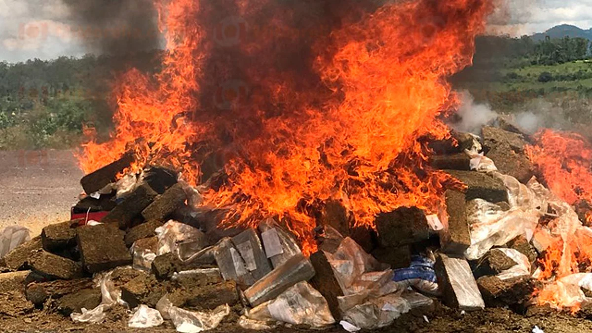 Destruyen más de dos toneladas de drogas, en Morelia