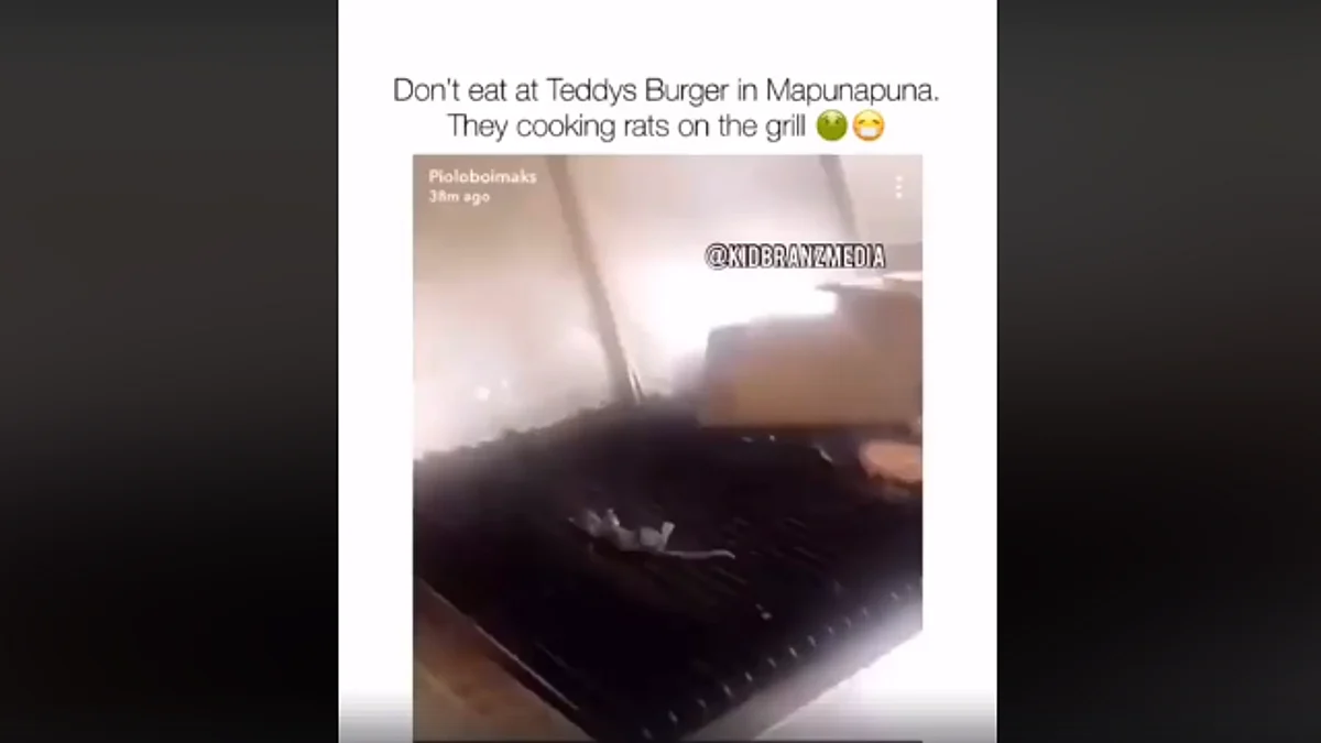 Empleado de restaurante se graba cocinando una rata antes de renunciar (Video)
