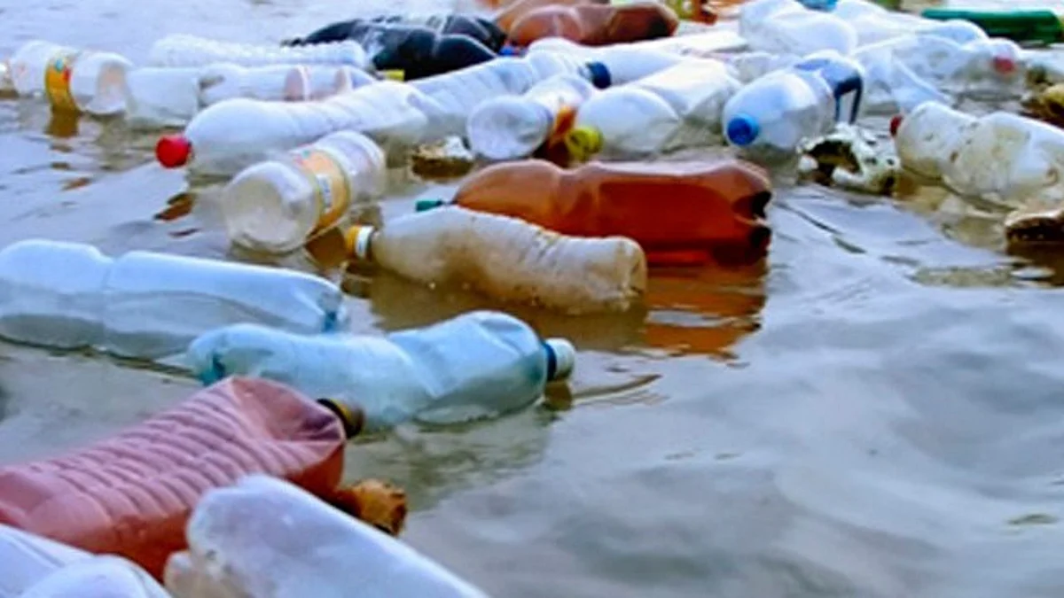 Van por prohibición de bolsas de plástico, popotes y unicel en Michoacán