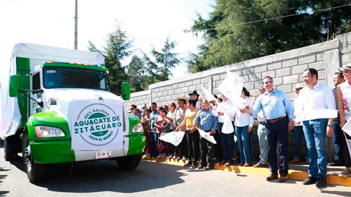 Sale primera carga de aguacate de Zitácuaro rumbo a Estados Unidos
