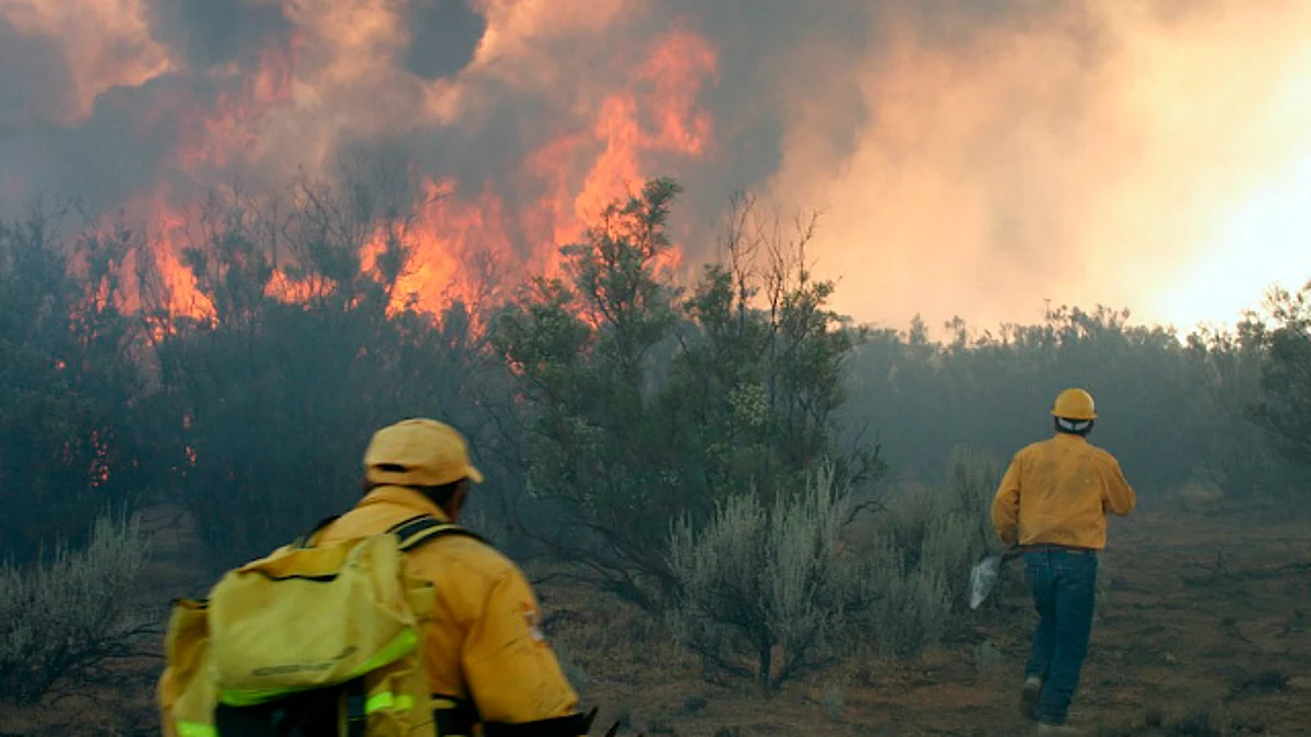 Van 14 incendios forestales en Morelia a consecuencia de cambio de uso de suelo