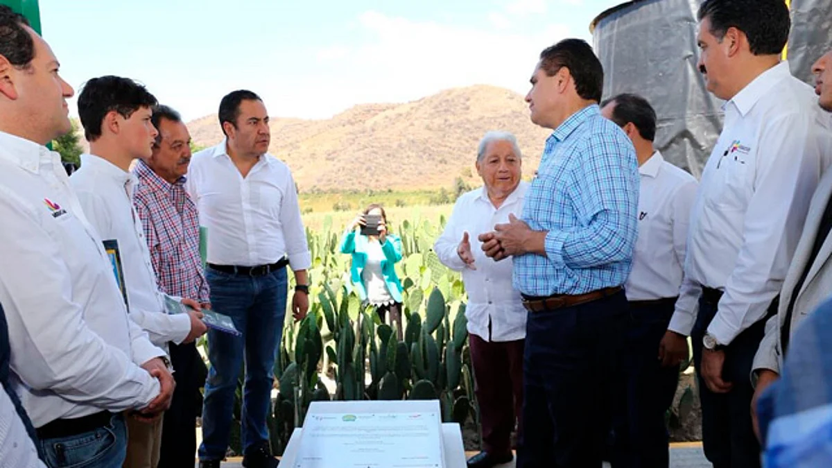 Inauguran planta para producir biogás a partir de nopal, en Zitácuaro