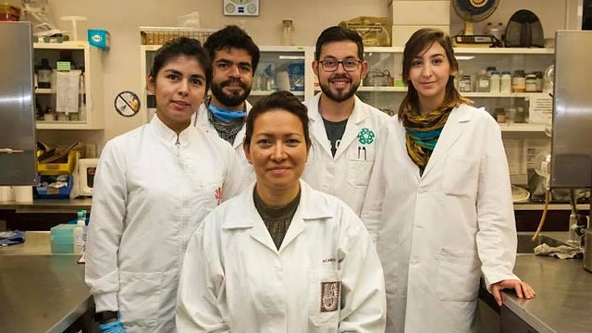 Investigadores del IPN logran eliminar con éxito virus del papiloma humano