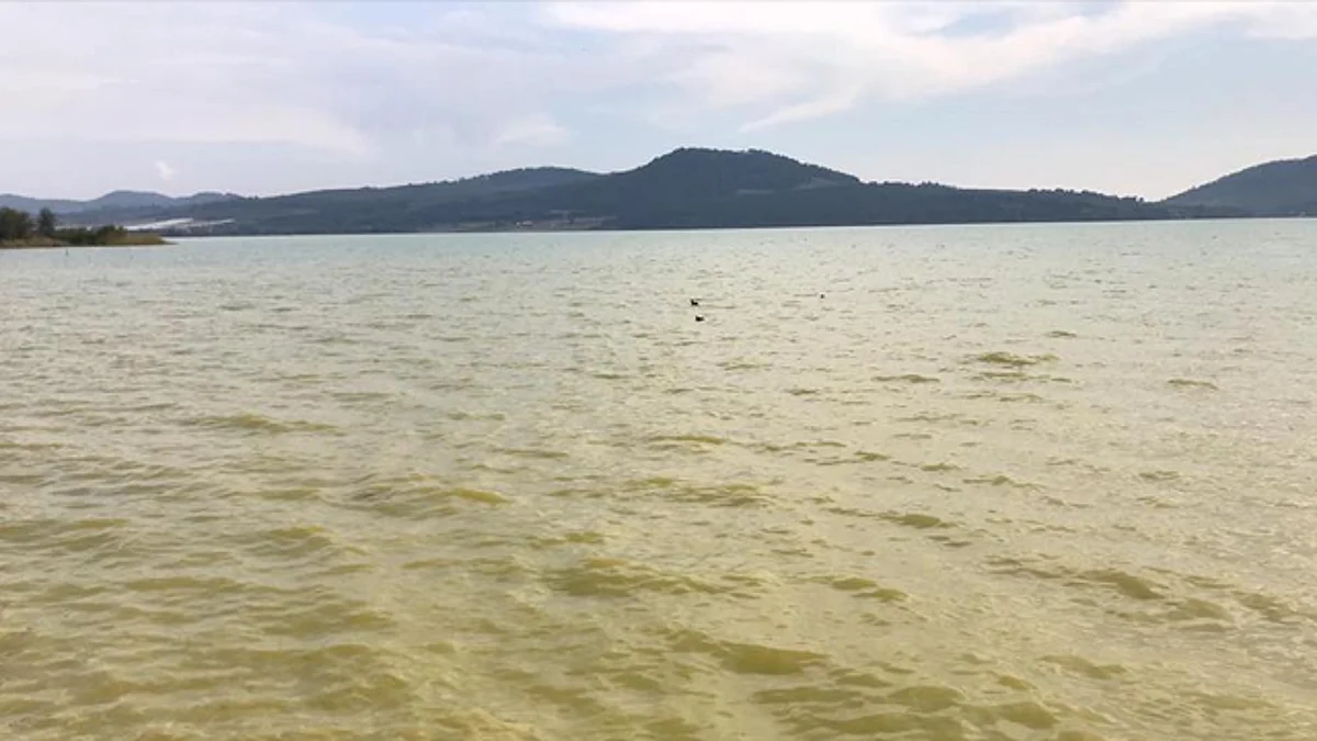 Denuncian niveles alarmantes de contaminación en lago de Zirahuén