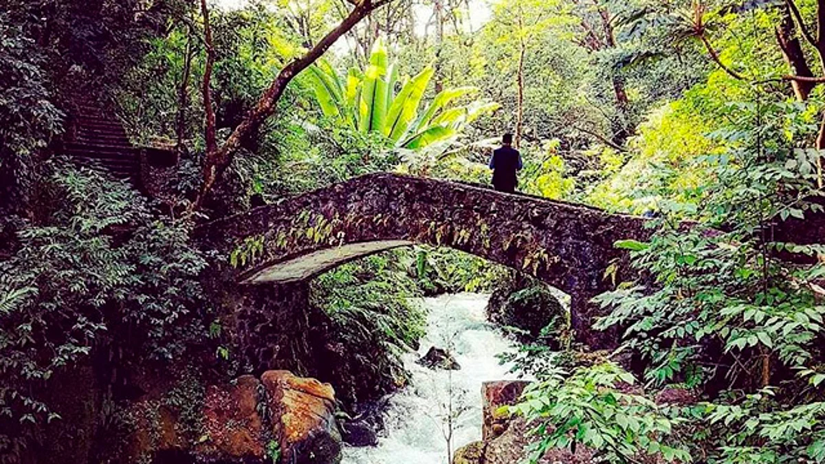 Parque Nacional de Uruapan ofrecerá recorridos nocturnos durante Semana Santa