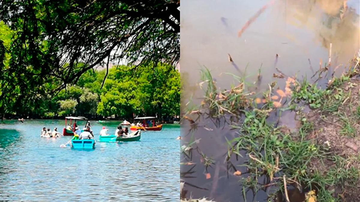 Diputada muestra en video contaminación del Lago de Camecuaro