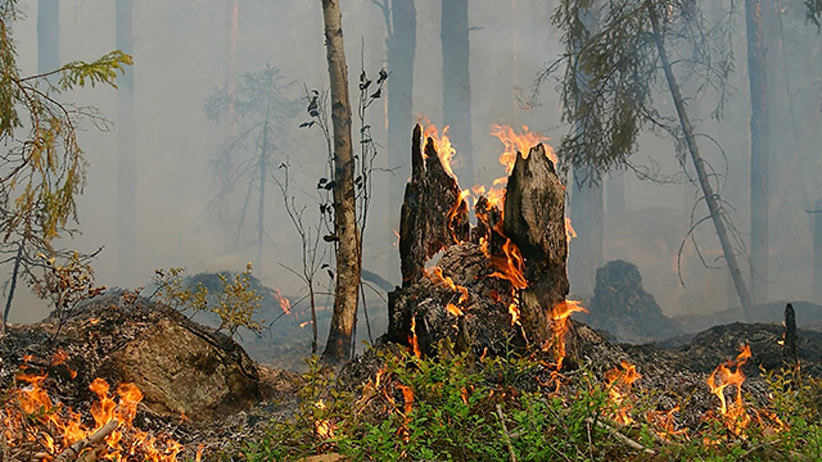 Sin variaciones; Morelia sigue en primer lugar en incendios forestales en 2019