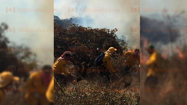 La vegetación que fue alcanzada por el fuego era principalmente pasto seco, diversas hierbas, arbustos y algunos árboles de la zona (Foto: Red 113)